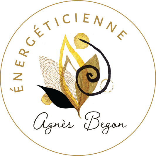 AGNES BEGON Logo RVB